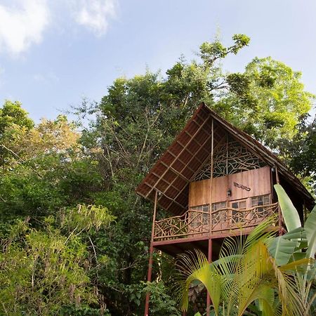 Bio Thermales Hot Springs Villa Palmera Exterior foto