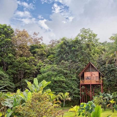 Bio Thermales Hot Springs Villa Palmera Exterior foto