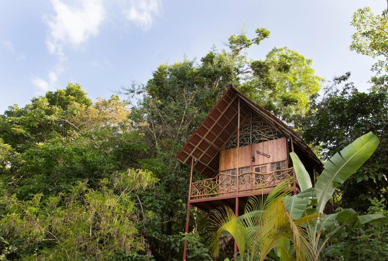 Bio Thermales Hot Springs Villa Palmera Exterior foto