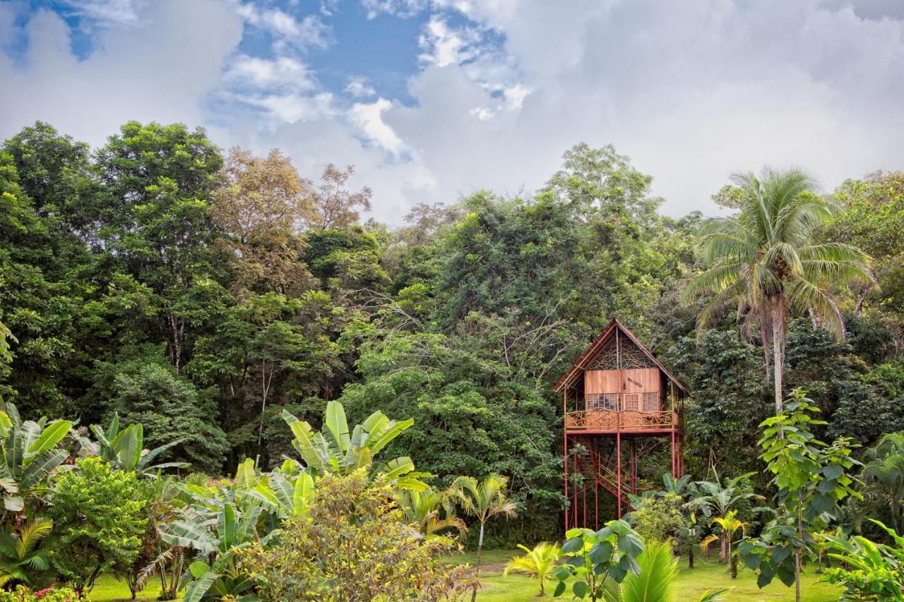Bio Thermales Hot Springs Villa Palmera Exterior foto