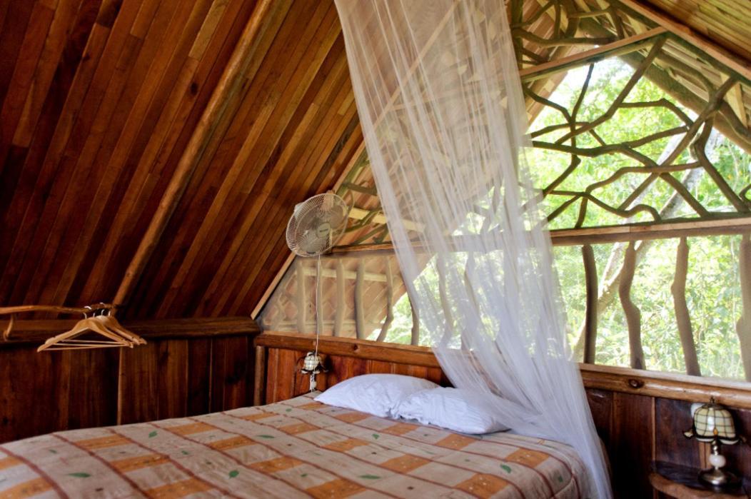 Bio Thermales Hot Springs Villa Palmera Exterior foto