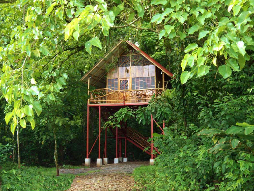 Bio Thermales Hot Springs Villa Palmera Exterior foto